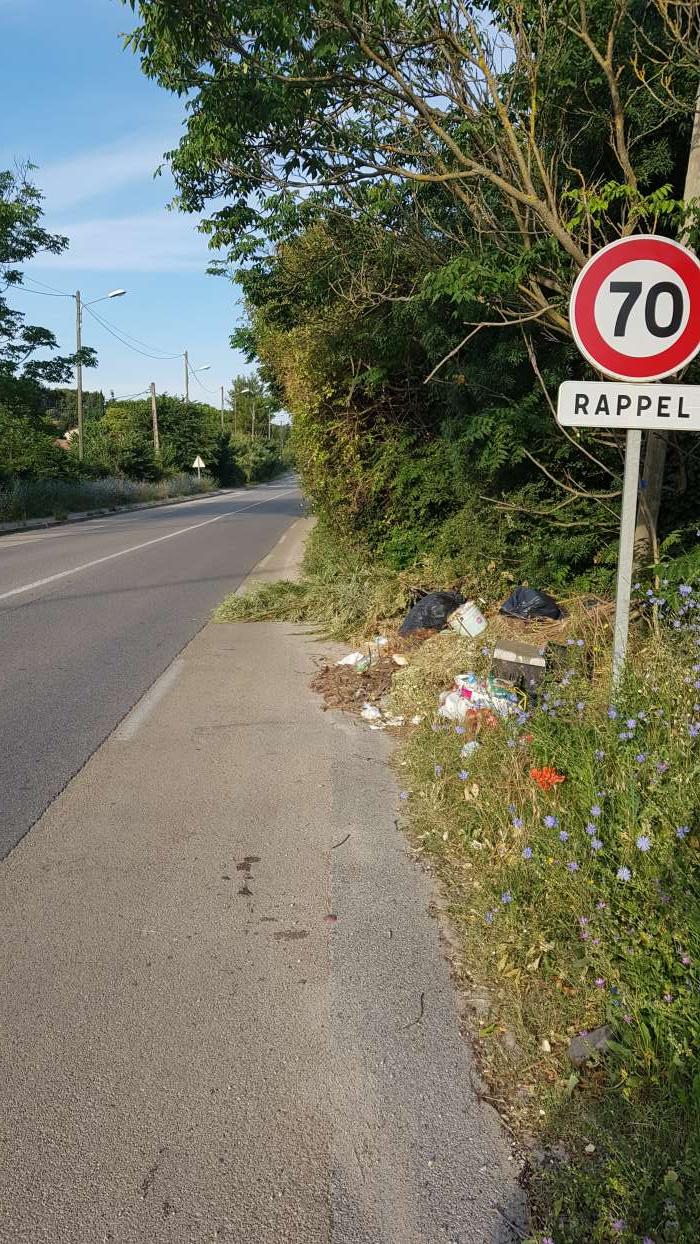 Déchet et végétaux sur bande cyclable 
